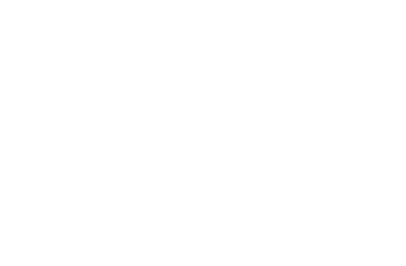 Zsol